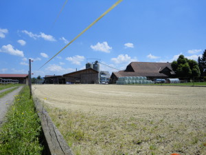 Reiten-Belp Pensionsstall Fam. Lobsiger